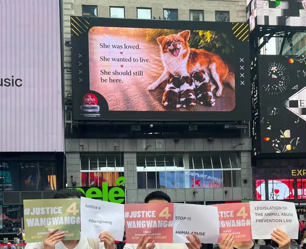 纽约时代广场大屏幕播放旺旺纪念画面，参与者在屏幕前举牌
