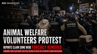Chongqing Animal-Abuse Case Becomes a Dispute Over Police Use of Force