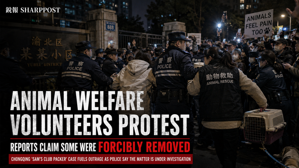 Chongqing Animal-Abuse Case Becomes a Dispute Over Police Use of Force