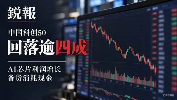 中国科创50回落逾四成：AI芯片利润增长，备货消耗现金